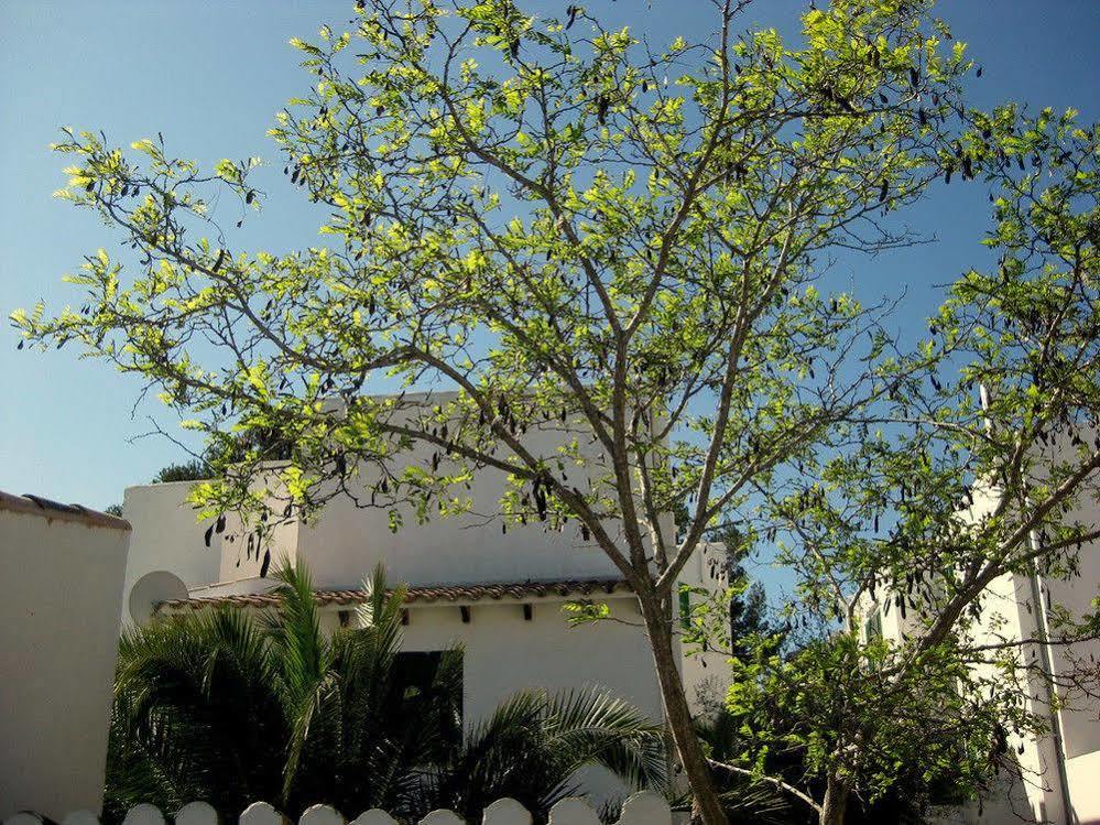 Casa Ceiba Maria Hotel Cala d'Or  Luaran gambar